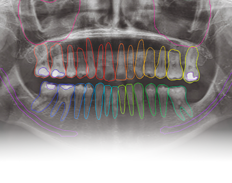 Radiologie image